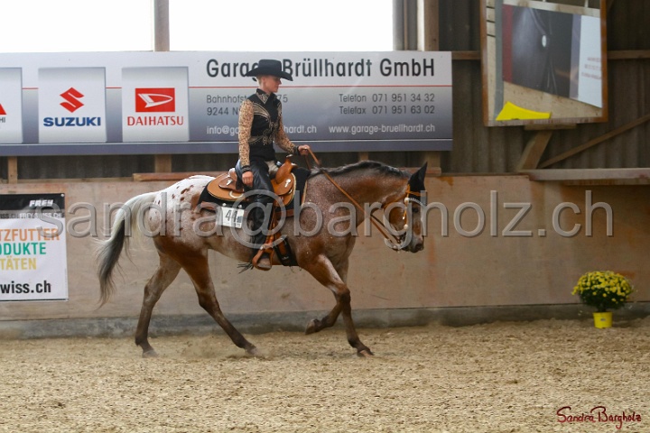 31-ApHC OWP_042.jpg